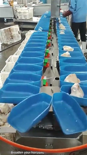 Automated sorting production line