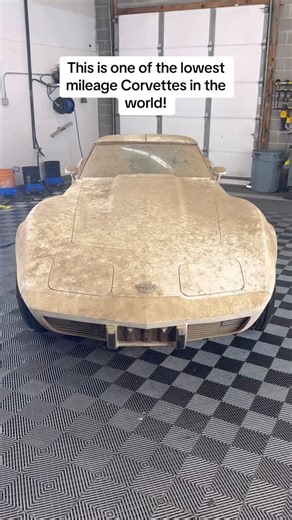 425K views · 2.9K reactions | First Wash in 45 Years! #wddetailing #detailing #carwash #carcleaning #satisfying #oddlysatisfying #satisfyingvideos #asmr #asmrvideo #steamcleaning #carseat #cardetailing #detailingcars #valeting #carvaleting #detailingworld #detailingaddicts #detailingboost #carwashing #interiordetailing #carwashgram | WD Detailing | Facebook