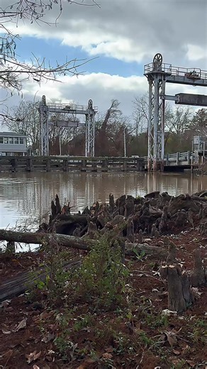 Exploring the Bayou Plaquemine Brulé Pontoon Bridge