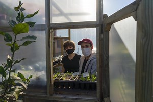 Developing specific skills for work or entrepreneurship