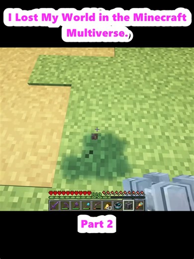 I Lost My World in the Minecraft Multiverse. (2)
