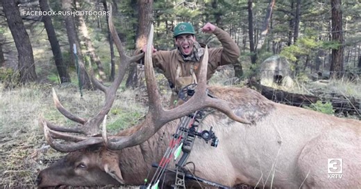 Suspect pleads guilty to transporting poached animal in Montana