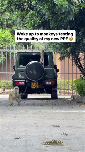 SK Mubea on Instagram: "Barely a week after @thatppfgirl.ke installed PPF on Tsuki 🤣"