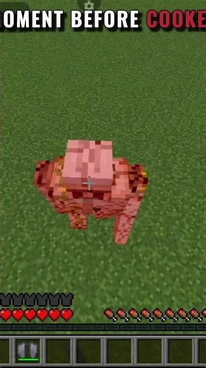 No way! #minecraft #trending #shorts