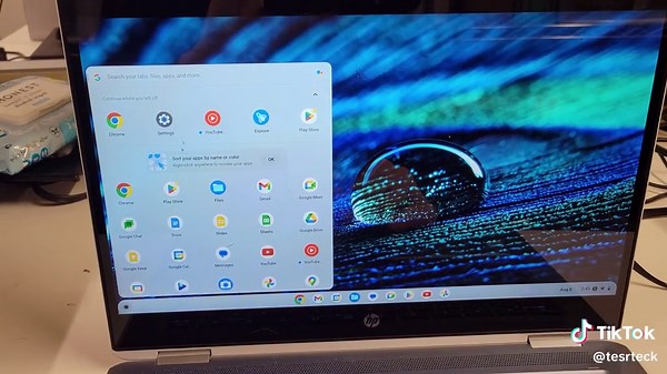 How to Update Google Chrome on a Chromebook #google #googlechrome #tesrteck #chromebookrepair