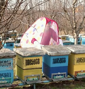 Indoor and outdoor gardening hacks 🌿 | 5-Minute Crafts