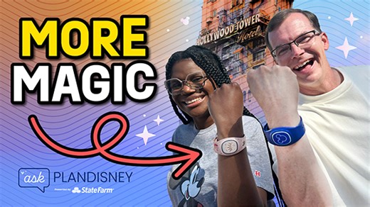 How do we purchase park tickets for Disney World Parks? | planDisney