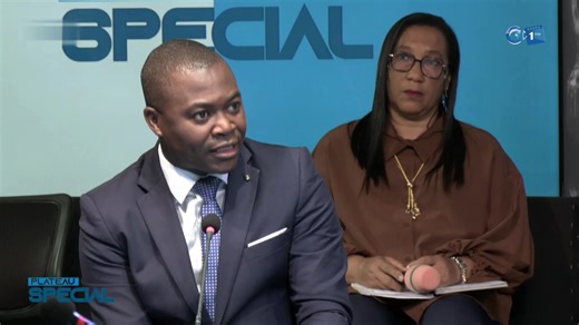 ''La Fonction publique est l’entité qui recrute. Elle doit être placée en amont. Nous nous sommes rendu compte que, depuis trois ou quatre ans, la Fonction publique n’a jamais été associée.'' #Groupegabontélévision #Gabon1ère #ActualitéduGabon #Extrait_émission