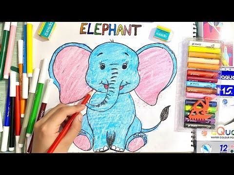 How to Draw A Cute Elephant ( Step by Step )