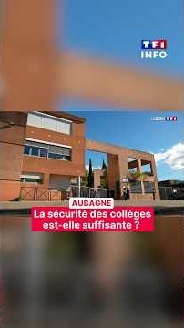 Aubagne : la sécurité des collèges est-elle suffisante ?｜TF1 INFO