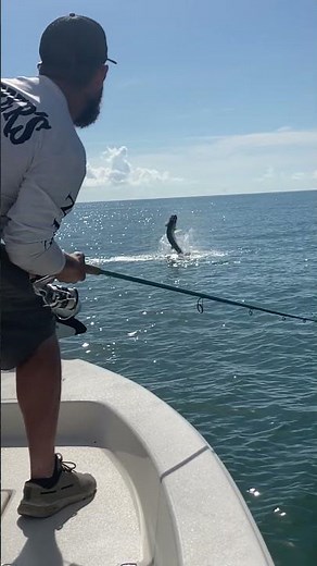 Check out this awesome Tarpon jump! #tarpon #fishing #sportfishing #florida #jump #ocean