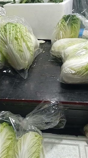 아내가 쌈장과 생배추를 사주었다. 한동안 생배추 만 먹고 건강해질 것 같다. 사랑의 생배추ㅎㅎ