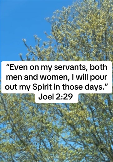 Empowered by the Spirit: Understanding Joel 2:29