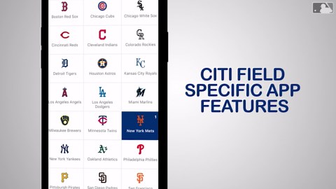 Getting Started with MLB Ballpark