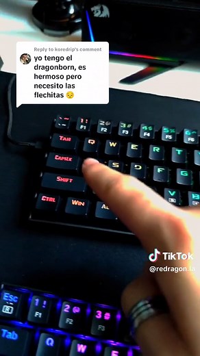 Cómo usar las flechitas en el teclado Dragonborn