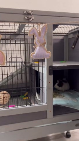 Cascading Twinkle Lights for Christmas Tree, 8 Modes 100-600 Christmas LED Firefly Twinkle String Lights, USB Powered, Waterproof, for Indoor Outdoor Home Garden Decoration (RBG,6.56ft 400 Lights)