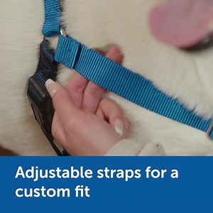 Enjoy better walks with your dog! The Easy Walk® Harness reduces leash-pulling comfortably for your dog 🐶 . | PetSafe Brand