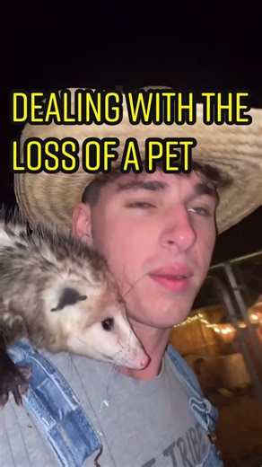 Reply to @opportunitylives01 yes—but our capacity expands over time. #farming #farmer #minifarm #urbanfarm #rescuefarm #opossum #kangaroo #farmboy