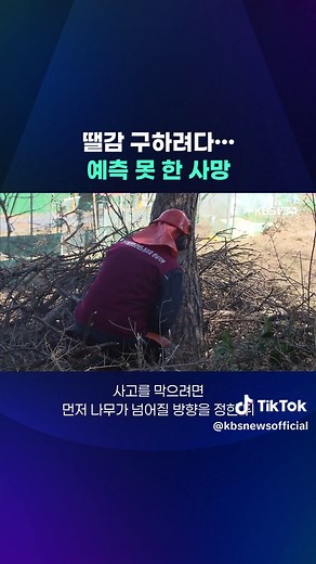 나무를 자르다가 나무에 맞거나 깔려 숨지는 사고가 잇따르고 있습니다. 베어낸 나무가 어디로 쓰러질지 예상하기 어려워 사고 위험이 크다고 합니다. #벌목#나무#땔감#대피장소#기계톱#KBS#KBSNEWS