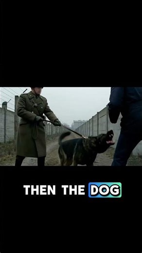 The Berlin Wall was Engineering for Human Hunting
