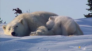 4.3K views · 104 reactions | After a long, dark winter holed up...