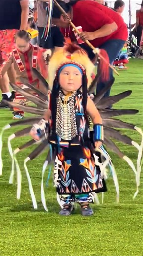 ✨ Il y a tellement de beauté dans la culture amérindienne… Chaque geste, chaque rythme, chaque chant est une mémoire vivante, un lien entre la terre, le ciel et les ancêtres. Profitons de cette danse — en plus réalisée par un très jeune Amérindien — qui ajoute encore plus de fierté à ses ancêtres, comme d’un souffle sacré, un moment suspendu où l’humanité se rappelle ses racines, sa sagesse, sa connexion au vivant. 🪶 Que cette danse nous inspire à marcher avec plus de respect, plus de lenteur, 