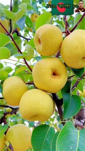 Islam, Islamic, Muslim, Muslims, Allah, Quran, Prophet Muhammad, Mosque, Prayer, Ramadan, Eid, Hajj,