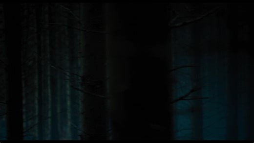 The Watched👀 When Mina, a 28-year-old artist, finds shelter after getting stranded in an expansive, untouched forest in western Ireland, she unknowingly becomes trapped alongside three strangers that are watched and stalked by mysterious creatures each night. Out at Cineworld Dublin June 7th ❗ Book now >>> www.cineworld.ie | Cineworld Dublin