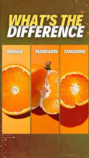Orange vs Mandarin vs Tangerine #fruits #health #facts