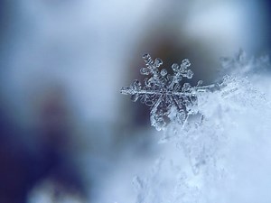 Researchers Develop First-Ever 3D Numerical Model of Melting Snowflake | Sci.News