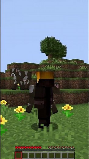 Top 3 Visual Mods for #minecraft JAVA #mods