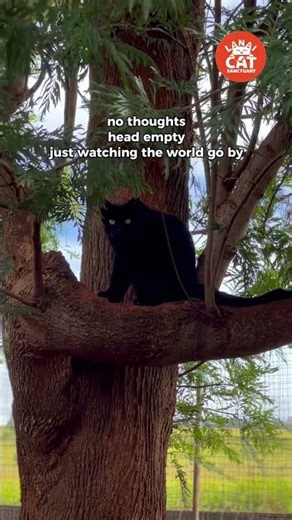 A warm breeze, a comfy spot, and absolutely nowhere to be.