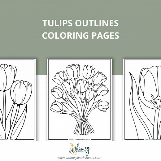 80 Tulip Coloring Pages | Floral Outline Art for Adults & Kids (PDF) - Etsy