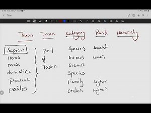 Taxon,Taxa,category,rank,and Hierarchy difference