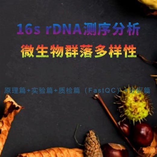 16s rDNA测序分析微生物群落多样性原理实验质检篇FastQC二代测序