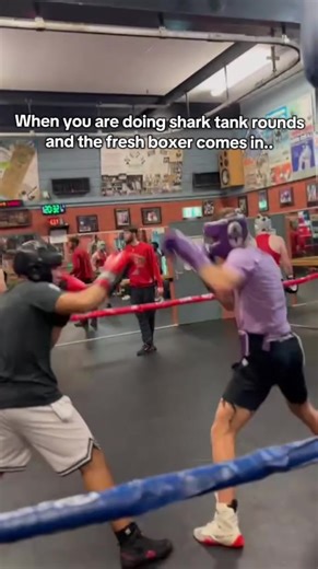 Surviving Shark Tank Rounds in Boxing Training