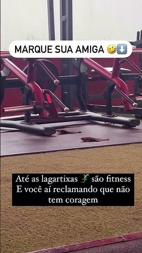Até as lagartixas estão fitness! E você? Comece a secar barriga hoje! | Método Tchau Gordura
