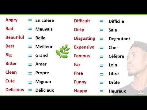 Les 100 adjectifs les plus utilisés en anglais. | partie 2 | Easy French sentences | Learn french
