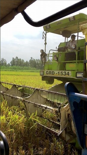 GRD combine #combine #harvestermachine #combinemachine #combineharvester #harvesterwala#tranding
