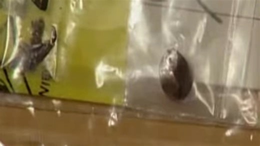 2.8K views · 58 reactions | Forensic #forensicfiles #science #forensicscience #forensics | Forensic File Cases | Facebook