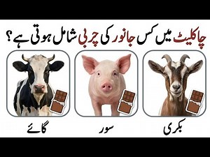 20 General Knowledge Questions With Answers | Urdu Quiz