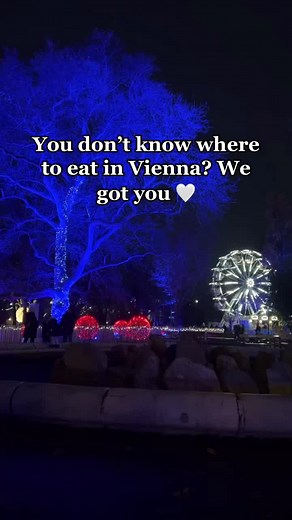 Best Places to Eat in Vienna for Food Lovers
