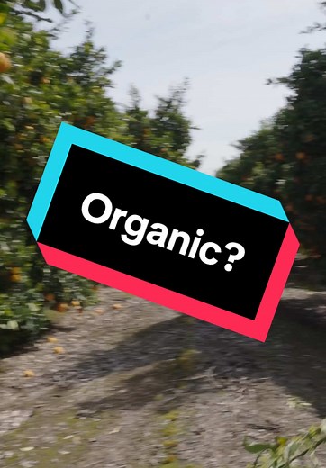 Organic labels dont always mean transparency. Most U.S honey can’t even get the stamp - but imports still can. Make this make sense🐝✌️ We’ll stick to raw small batch honey that we make🙂‍↔️ #rawhoney #bees #beetamer