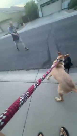 Him getting close to my dog would’ve set me off