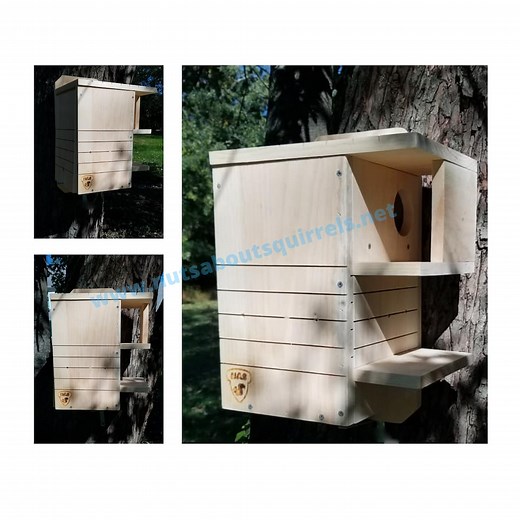 Squirrel Nest Box -wildlife Rehab Approved-predator Resistant Squirrel House With Two Porches - Etsy
