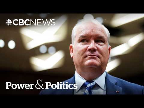 O’Toole says Trump has ‘profound misunderstanding’ after calling NATO ‘cowards’ | Power & Politics