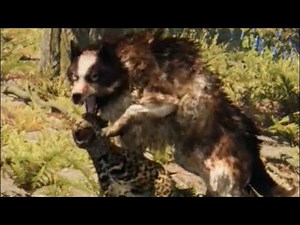 THE WOLF - All prey hunting animation in SLOW MOTION