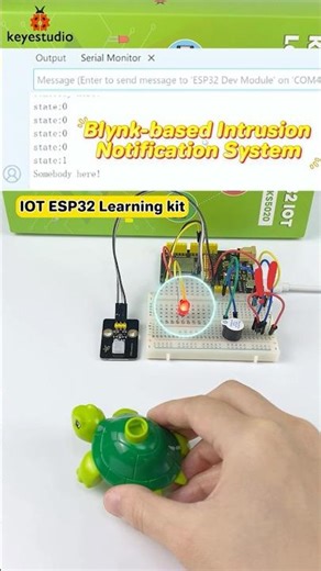 #shorts 🐞Blynk-based Intrusion Notification System #keyestudio #esp32 #arduino #arduino #diy #iot