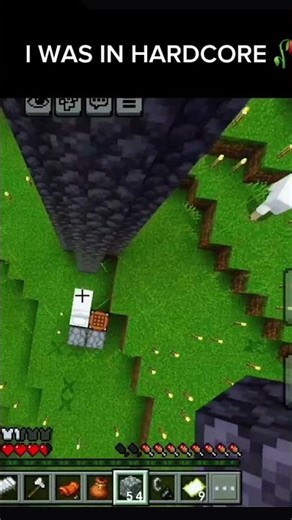 I WAS IN HARDCORE 🥀 #minecraft #shorts
