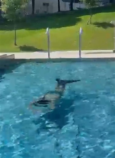 Weeks of training finally paying off with mermaiding as a full body workout